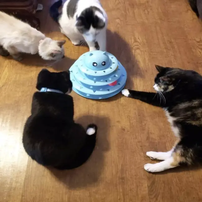 Purlov Interactieve Speeltoren: Een Avontuurlijk Spel voor Elke Kat