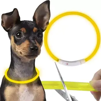 Purlov LED Lichtgevende Halsband - Veiligheid en Zichtbaarheid voor Uw Huisdier Purlov LED Lichtgevende Halsband - Veiligheid en Zichtbaarheid voor Uw Huisdier