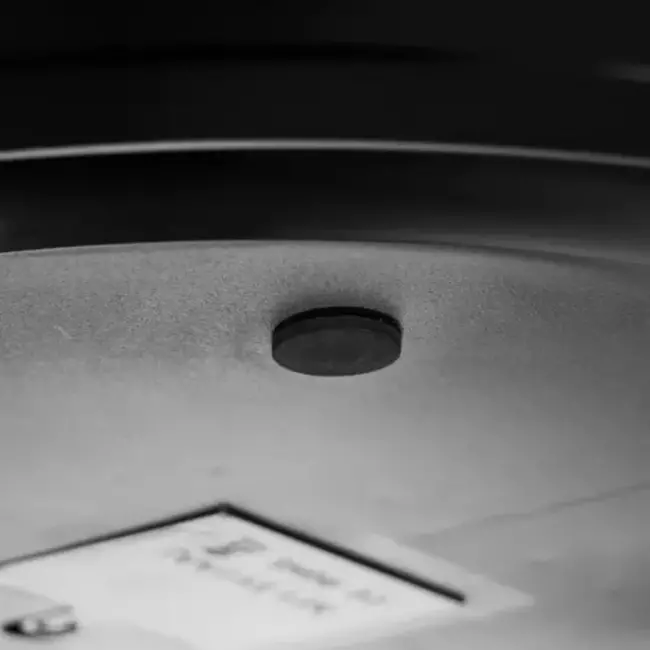 Purlov Automatische Voerbak - Perfecte Voedingsoplossing voor Uw Huisdier