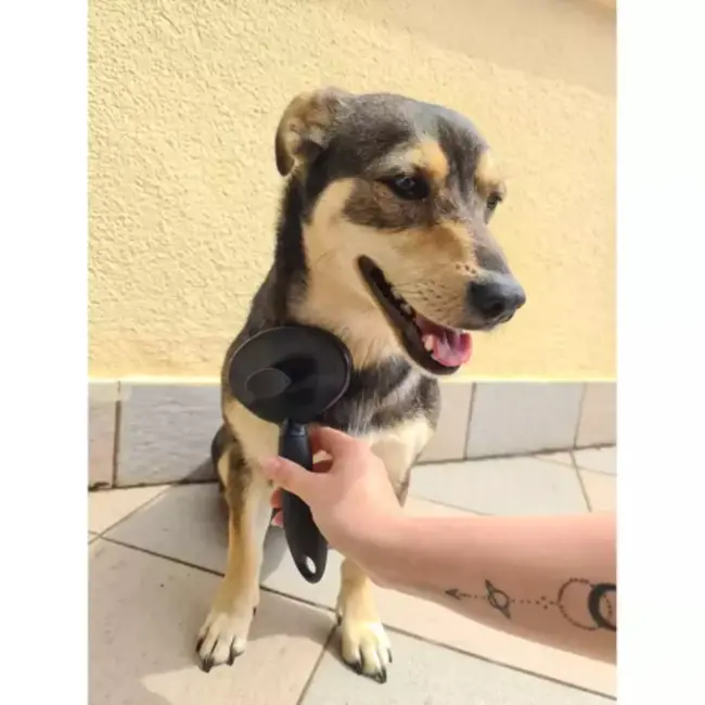 Purlov Zelfreinigende Huisdierenborstel - Maak Huisdierverzorging Eenvoudig