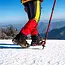 Trizand Antislip Schoenijzers Maat L 41-44 - 8 Tanden per IJzer - Perfect voor Winterse Omstandigheden