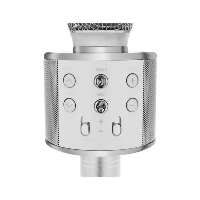 Izoxis Zilveren Karaoke Microfoon - Perfect voor Thuis Karaoke Plezier