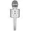Izoxis Zilveren Karaoke Microfoon - Perfect voor Thuis Karaoke Plezier