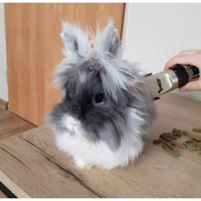 Purlov Hondentondeuse Set – Snel en Zacht Dieren Trimmen