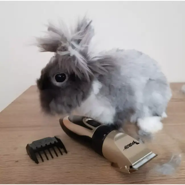 Purlov Hondentondeuse Set – Snel en Zacht Dieren Trimmen