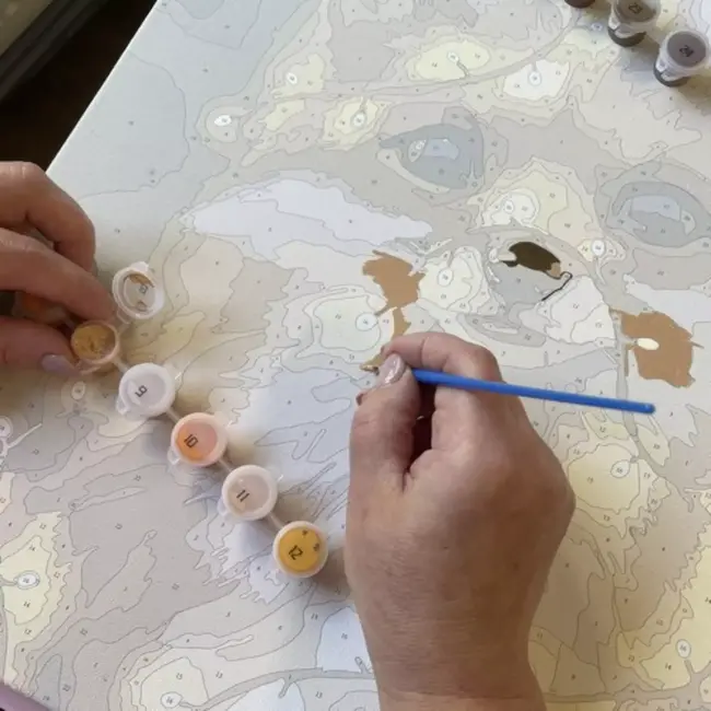 Maaleo Schilderen op Nummer: Creëer je Eigen Vossen Kunstwerk