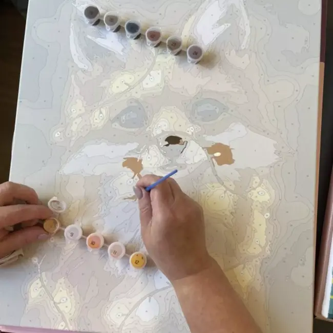 Maaleo Schilderen op Nummer: Creëer je Eigen Vossen Kunstwerk