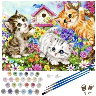 Maaleo Schilderen op Nummer: Creëer je Eigen Kitten Kunstwerk
