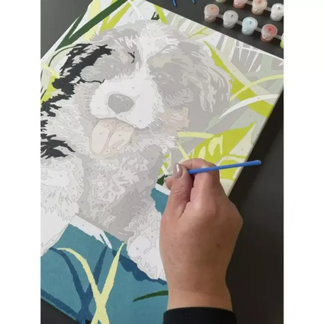 Maaleo Schilderen op Nummer: Creëer je Eigen Honden Kunstwerk