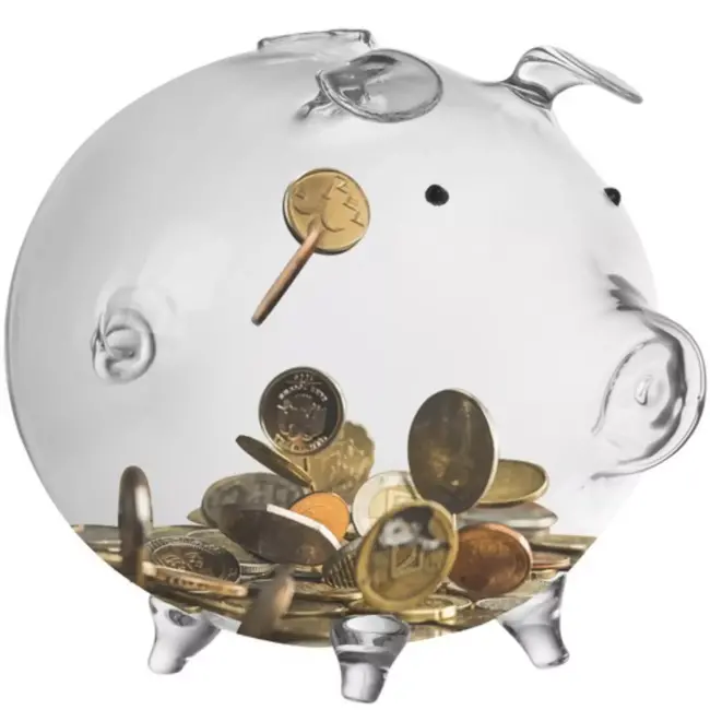 Ruhhy Transparant glazen spaarvarken - Decoratief - Educatief - 12.5x18.5x12 cm