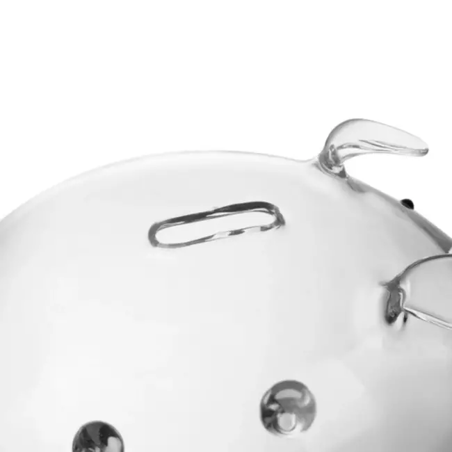 Ruhhy Transparant glazen spaarvarken - Decoratief - Educatief - 12.5x18.5x12 cm