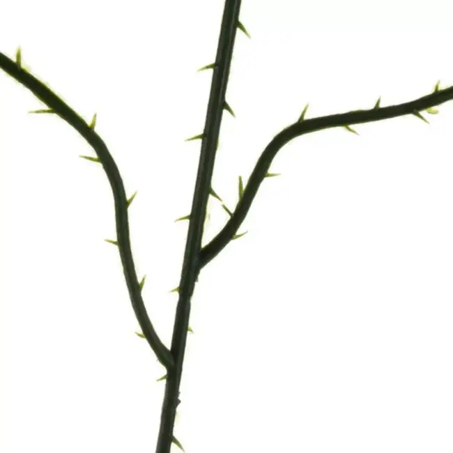 Gardlov Kunstmatige Rozentakken Set van 12 - Voor Stijlvolle en Onderhoudsvrije Decoraties