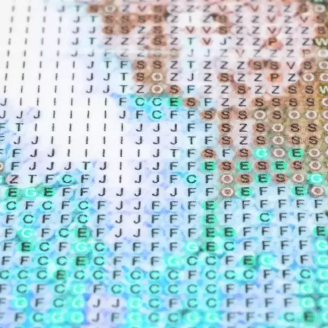 Malatec Diamond Painting Set "Paarden" - 30x40 cm - Kunstzinnige Ontspanning