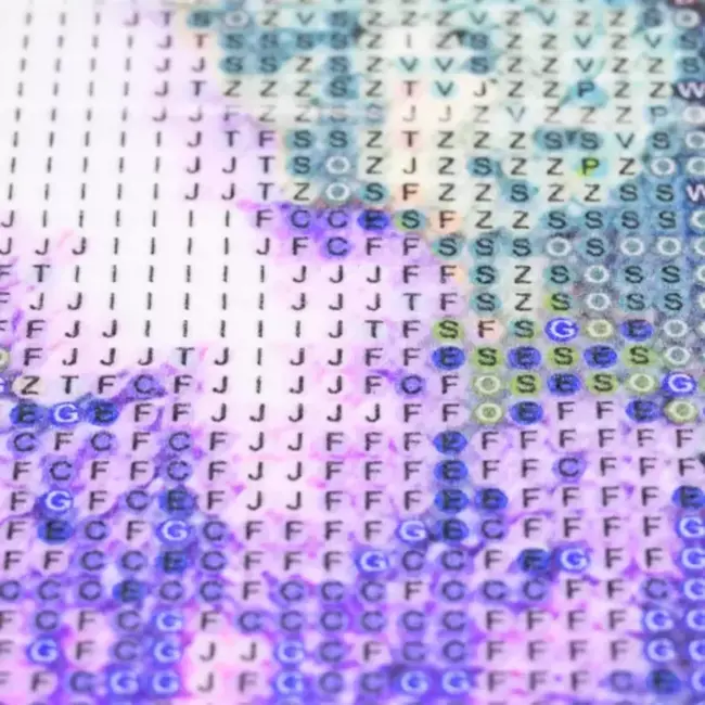 Malatec Diamond Painting Set "Poes/Vlinder" - 30x40 cm - Artistieke Ontspanning