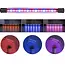 Gardlov LED Kweeklamp Set - 20 LED's voor Optimale Plantengroei