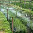 Gardlov Garden Sprinkler: 20m Water Curtain voor Verkoeling in de Tuin