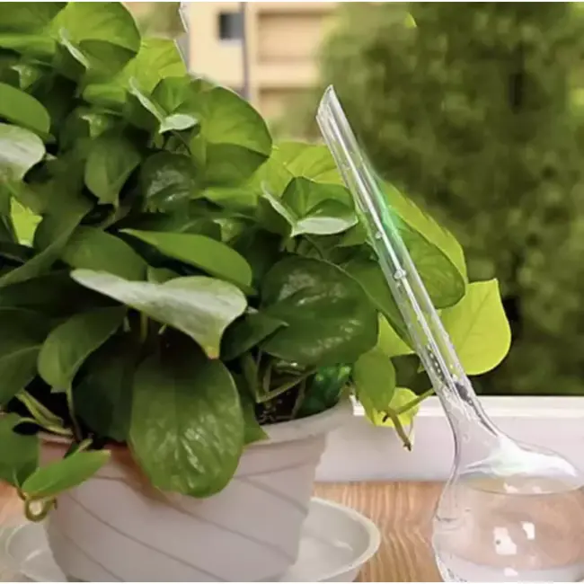 Gardlov Waterballen Set van 8 - Zorgeloze Plantenbewatering