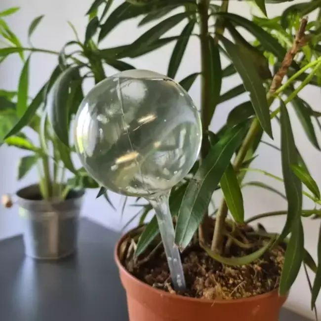 Gardlov Waterballen Set van 8 - Zorgeloze Plantenbewatering