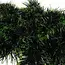 Ruhhy Groene Kerstboom Slinger 6m - Dikke en Flexibele Kerstdecoratie