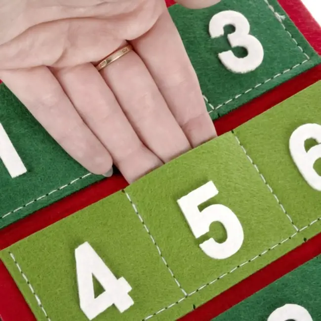 Ruhhy Vilt Adventskalender met 24 Zakjes - Perfect voor Kerst Aftellen