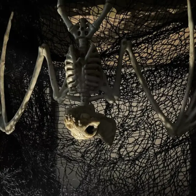 Malatec Vleermuis Skelet - Griezelige Halloween Decoratie - 30cm - Realistisch Ontwerp