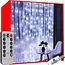 Ruhhy Lichtgordijn 300 LED USB - Koel Wit Licht voor een Moderne Uitstraling
