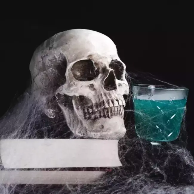 Malatec Kunstmatig Spinnenweb met 2 Spinnen - Perfect voor Halloween Decoratie