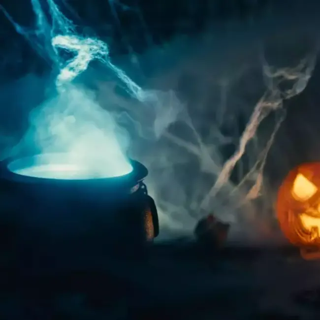 Malatec Kunstmatig Spinnenweb met 2 Spinnen - Perfect voor Halloween Decoratie