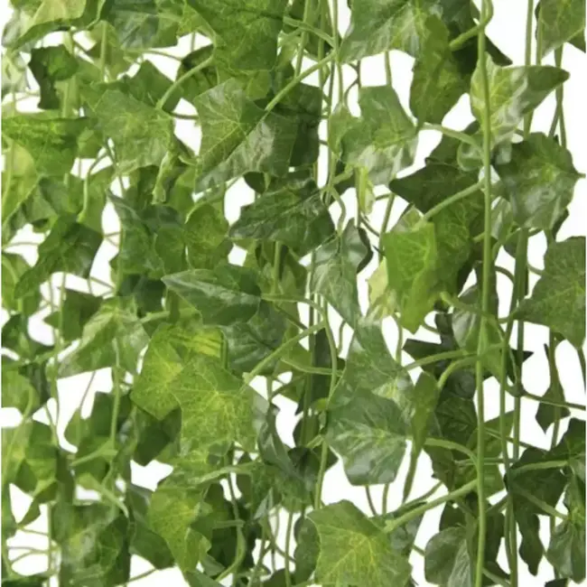 Gardlov Kunstmatige Klimop-Slinger 50.4m - Perfect voor Muur en Balkon Decoratie (24 x 2.1 meter)