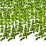 Gardlov Kunstmatige Klimop - Muur & Balkon Decoratie - 12.6m (6 x 2,1 meter) Groene Slinger