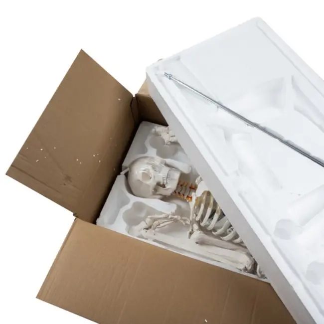 Malatec Menselijk Skelet Model 170cm - Perfect voor Onderwijs en Medische Studies