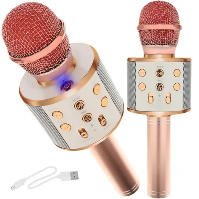Izoxis Roze Karaoke Microfoon: Perfect voor de Jonge Zanger