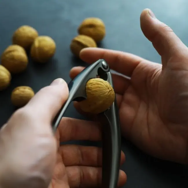 Ruhhy Stalen Notenkraker met Softgrip - Ideaal voor Walnoten & Hazelnoten