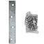 Benson Verbindingsplaat - IJzer - Inclusief Schroeven - 100 x 15 mm - Set van 8 - Roestbestendig