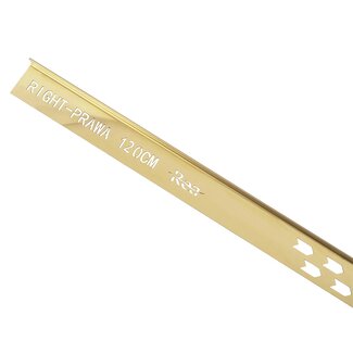 REA Douchestrip t.b.v. Douchecabine - Rechts - 120 cm - Glans Goud