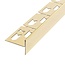 REA Douchestrip t.b.v. Douchecabine - Rechts - 140 cm - Glans Goud