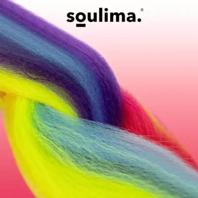 Soulima Synthetische Regenboogvlechtjes - 60 cm Lang - Multikleur