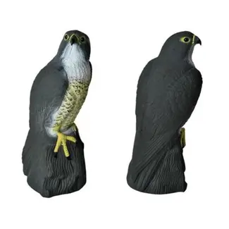 Repest Slechtvalk Vogelafschrikker - Natuurlijke Bescherming tegen Vogels en Knaagdieren Repest Slechtvalk Vogelafschrikker - Natuurlijke Bescherming tegen Vogels en Knaagdieren