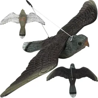 Repest Slechtvalk Vogelafschrikker - Realistische Bescherming Tegen Vogels Repest Slechtvalk Vogelafschrikker - Realistische Bescherming Tegen Vogels
