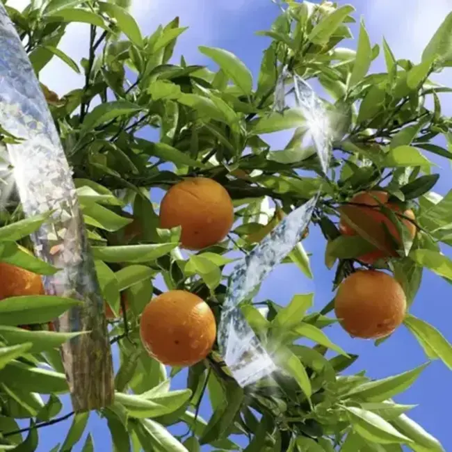 Repest Holografische Vogelafschriktape 50m - Effectieve Vogelverjaging