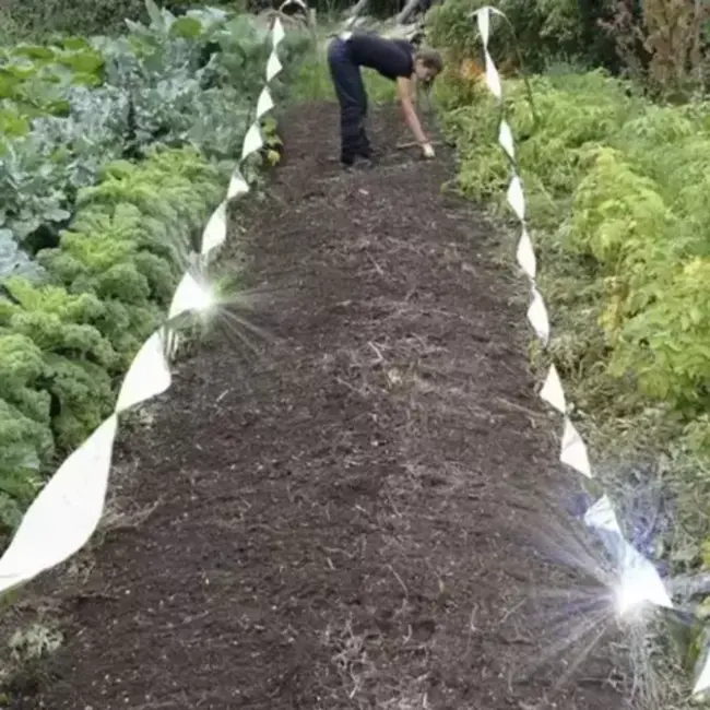 Repest Holografische Vogelafschriktape 50m - Effectieve Vogelverjaging