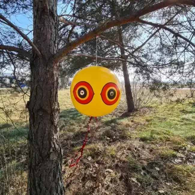 Repest Vogelverschrikker Ballon - Effectieve Bescherming tegen Vogels
