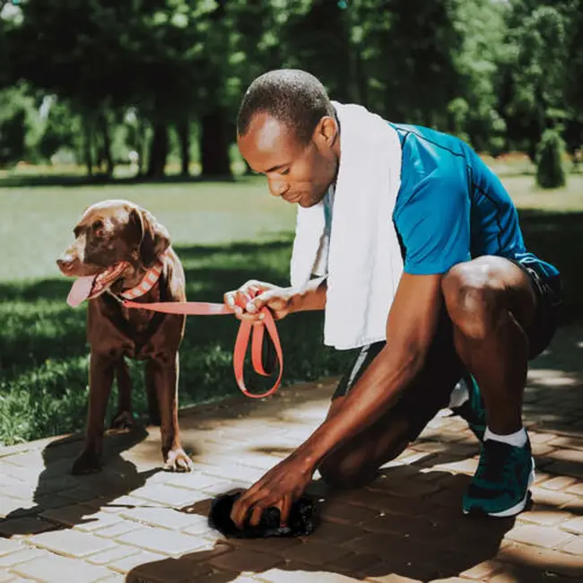 Purlov Zwart Poepzakjes Set - 1000 Stuks met Handig Etui - Perfect voor Hondenwandelingen