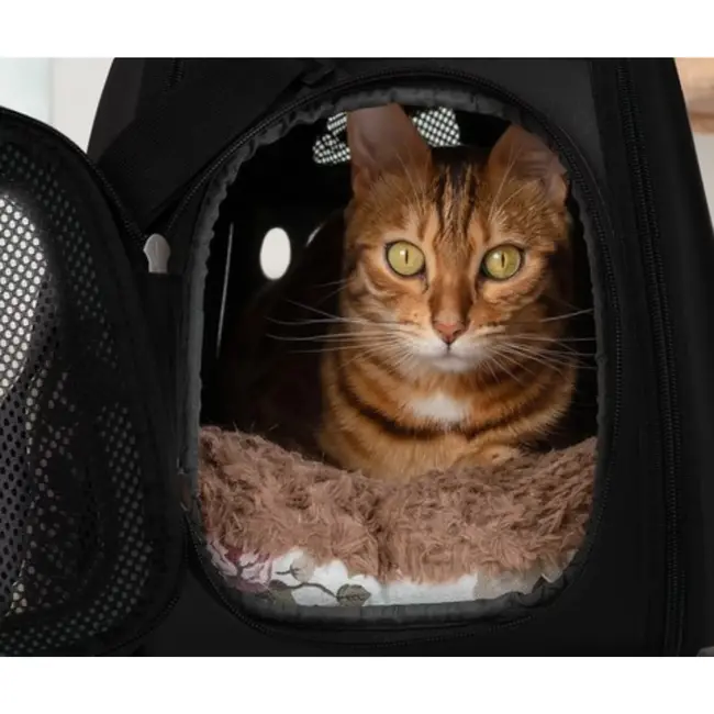Purlov Transporter - Draagtas voor Honden en Katten - Zwart - Veilig en Duurzaam