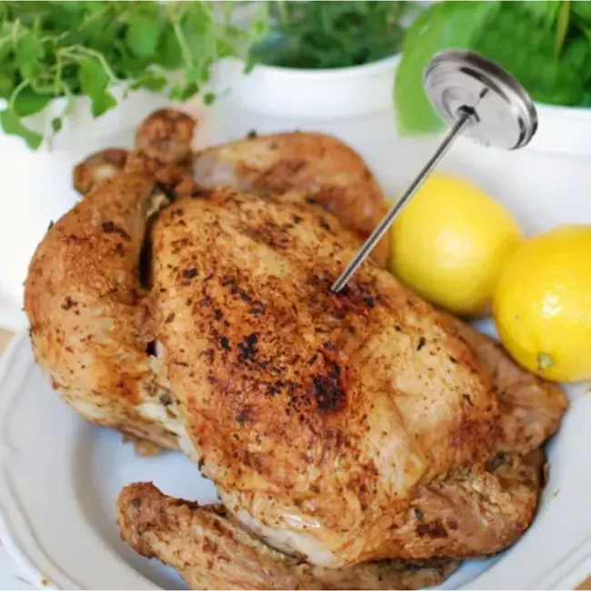 Malatec Professionele analoge vleesthermometer van roestvrij staal met duidelijke schaal voor koken, braden en roken