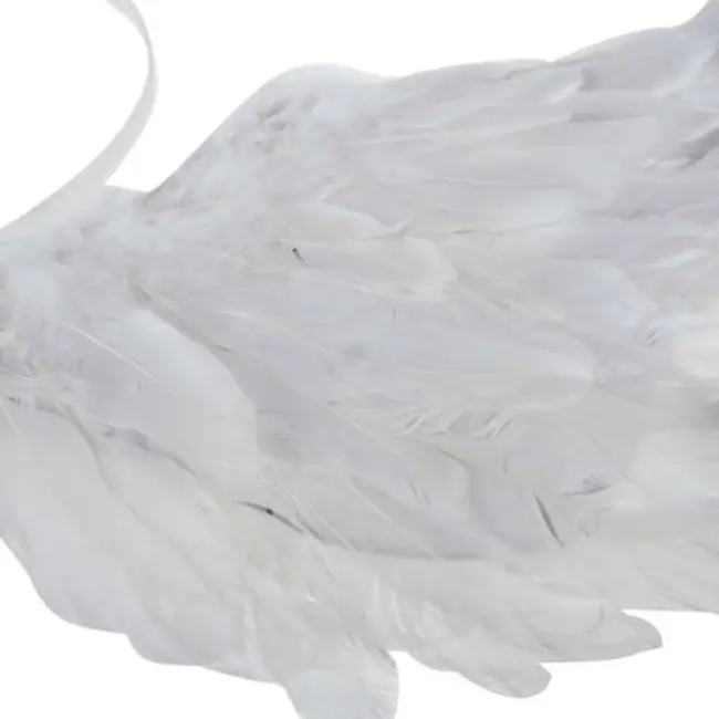 Kruzzel Engel Kostuumset - Vleugels, Toverstaf en Halo voor Kinderen