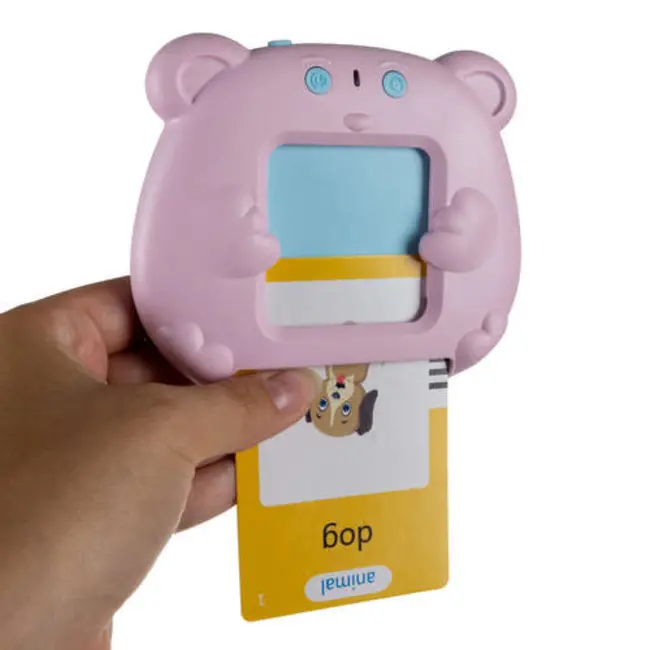 Kruzzel Engelse Kaartlezer 'Teddy' - Maak Leren Leuk!