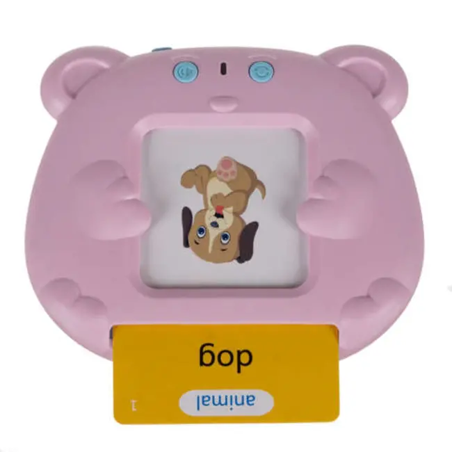 Kruzzel Engelse Kaartlezer 'Teddy' - Maak Leren Leuk!