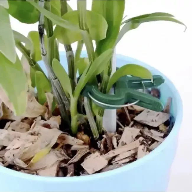 Gardlov Plantenclips Set van 108 - Perfecte Ondersteuning voor Uw Tuin