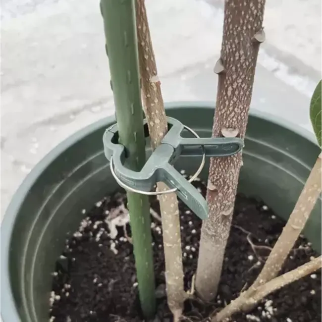 Gardlov Plantenclips Set van 108 - Perfecte Ondersteuning voor Uw Tuin